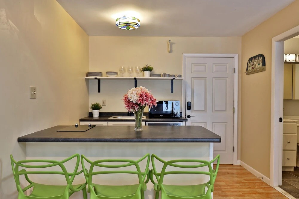 Rent An Inn! Takeover the Birch Ridge with your group, Mountain Lodge- 11 Rooms, Bar, Fireplace, 28ppl home