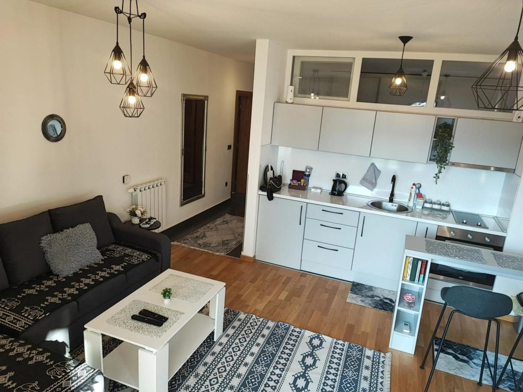 Bulevar apartment & Free Garage