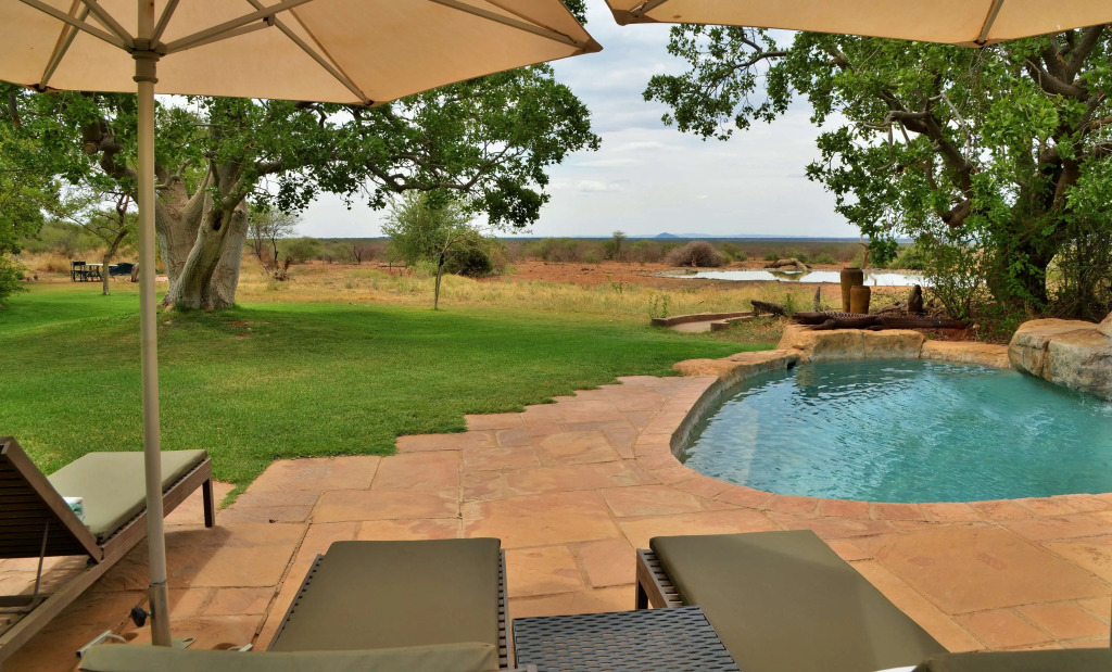 Last Word Madikwe