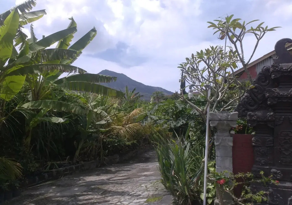 Volcano Hostel