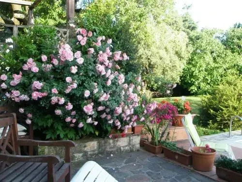 B&B Parco di Veio