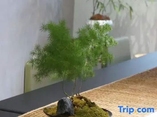 Zhengding Jiaoye Art Homestay