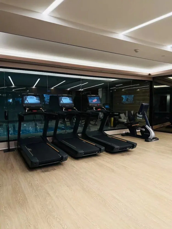 New Luxury Penthouse w Pool Gym in Flushing