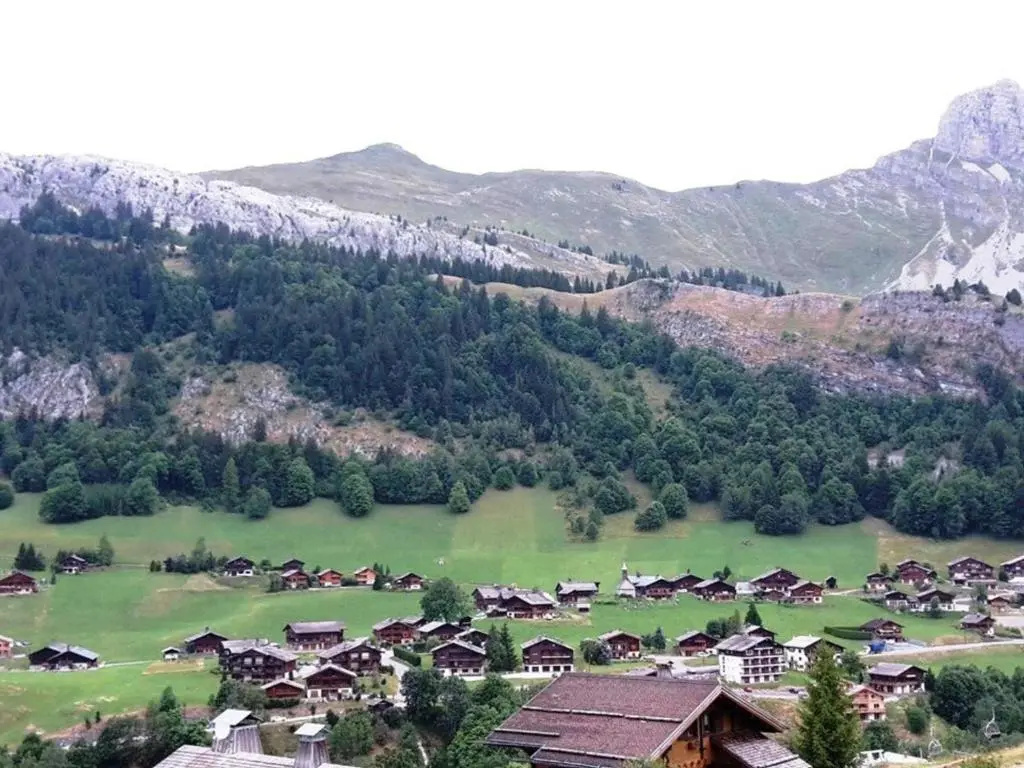Appartement Le Grand-Bornand, 2 pièces, 6 personnes - FR-1-241-21