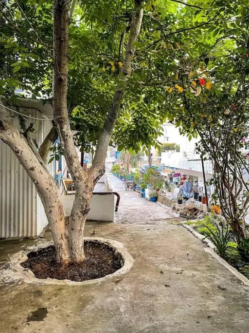 Central neighborhood house