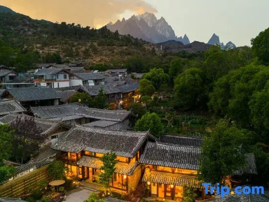 Lijiang ZenTea Garden Ancient Residence Beautiful Homestay