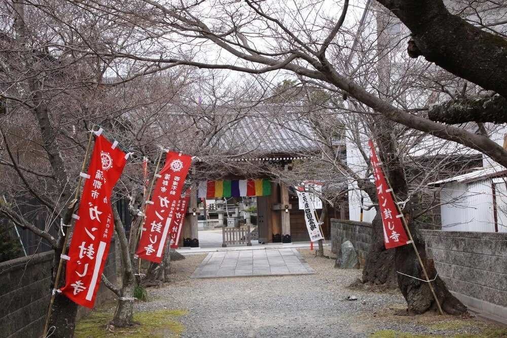 Tokugawano Umi Aoi