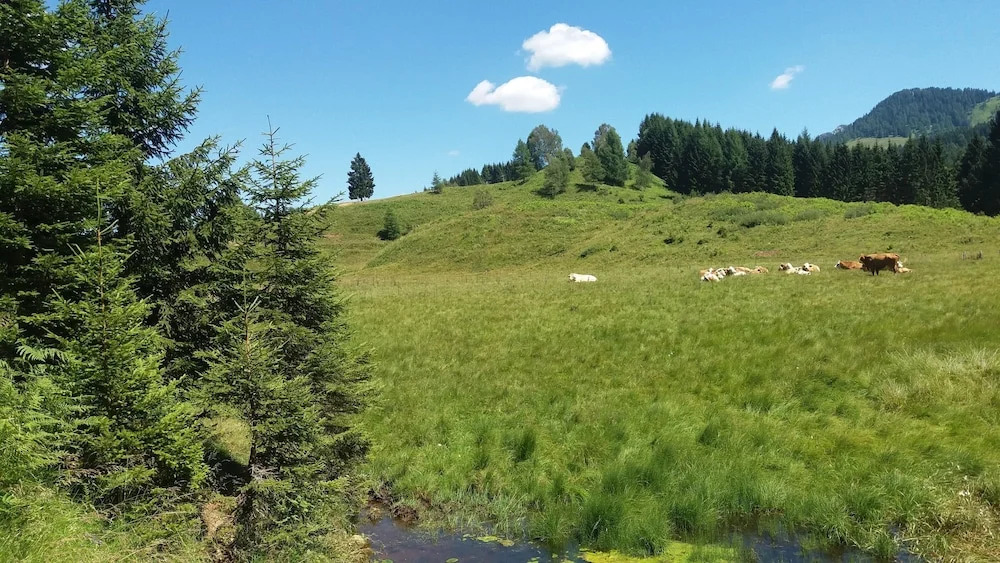 Chalets Zöhrer - Wohnen am Wasser