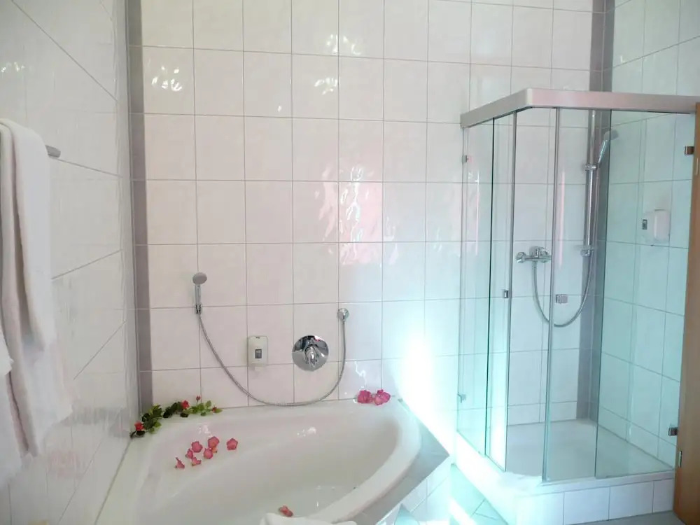 Hotel Haslbach FGZ