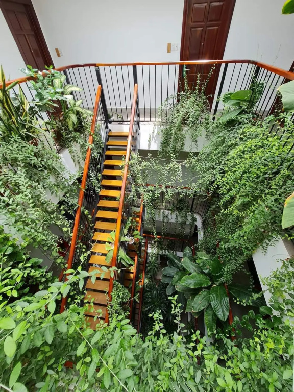 Nicobar Con Dao Hotel