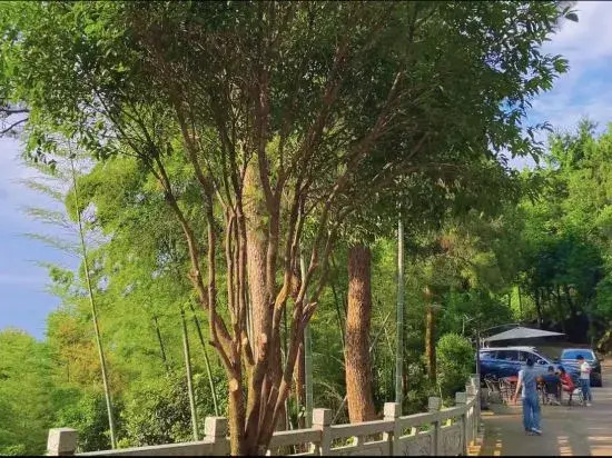 Liang xi shan ju Homestay