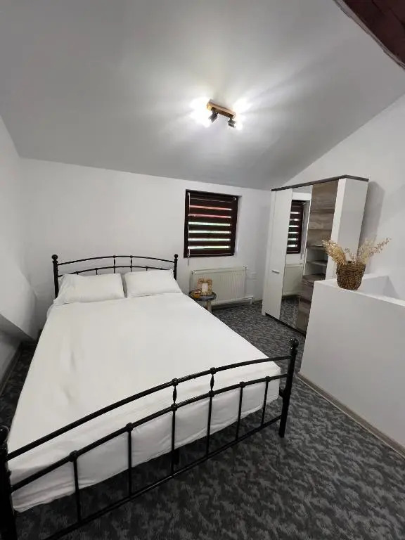 Apartament in regim hotelier Queen Medias