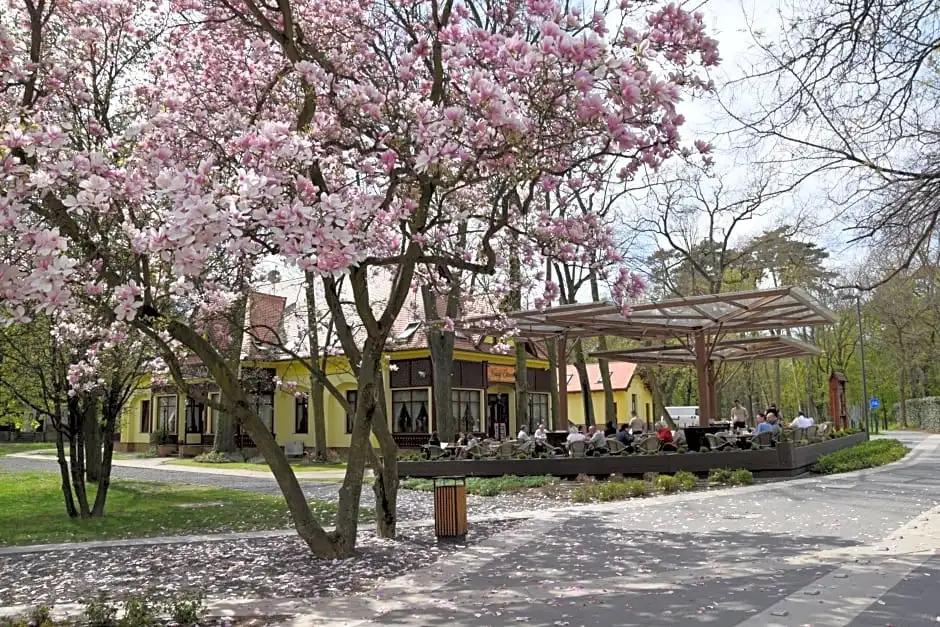 Villa Hotel
