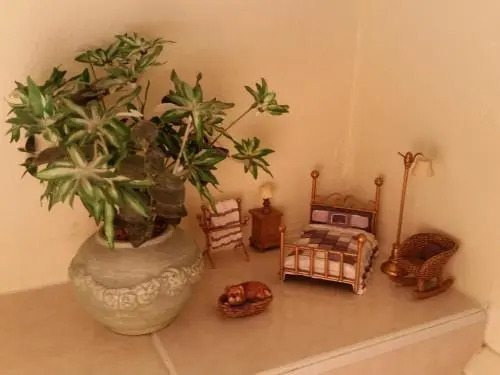 Murray House Bed & Breakfast