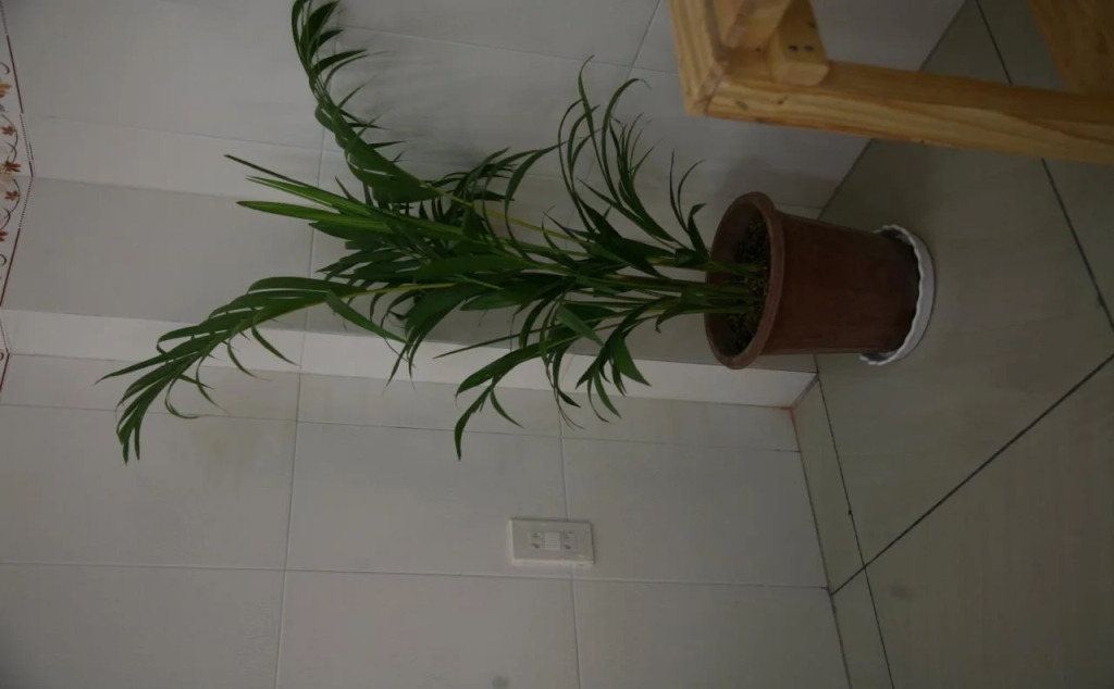 Lidu Home