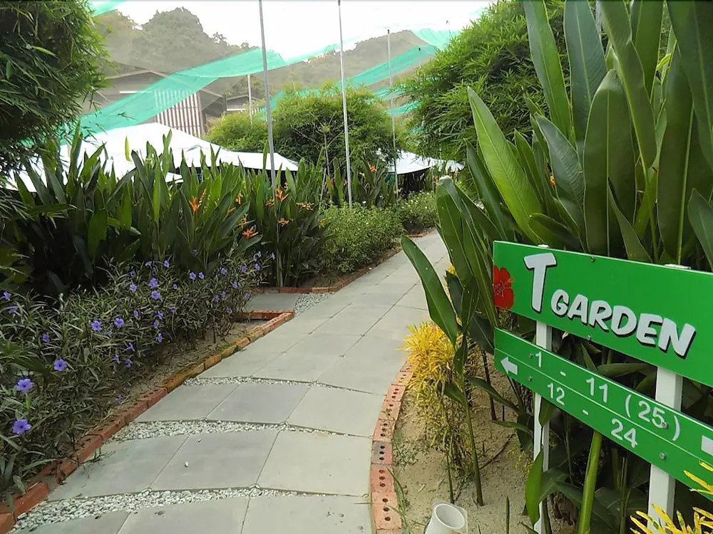 T Garden