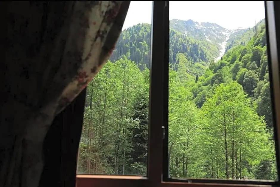 Ayder Palas Apartments