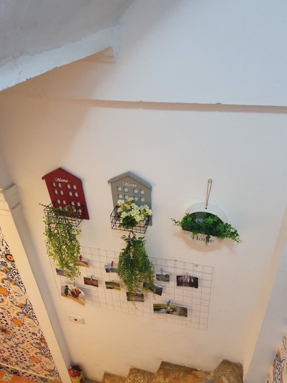 Hanoi Trica Hostel