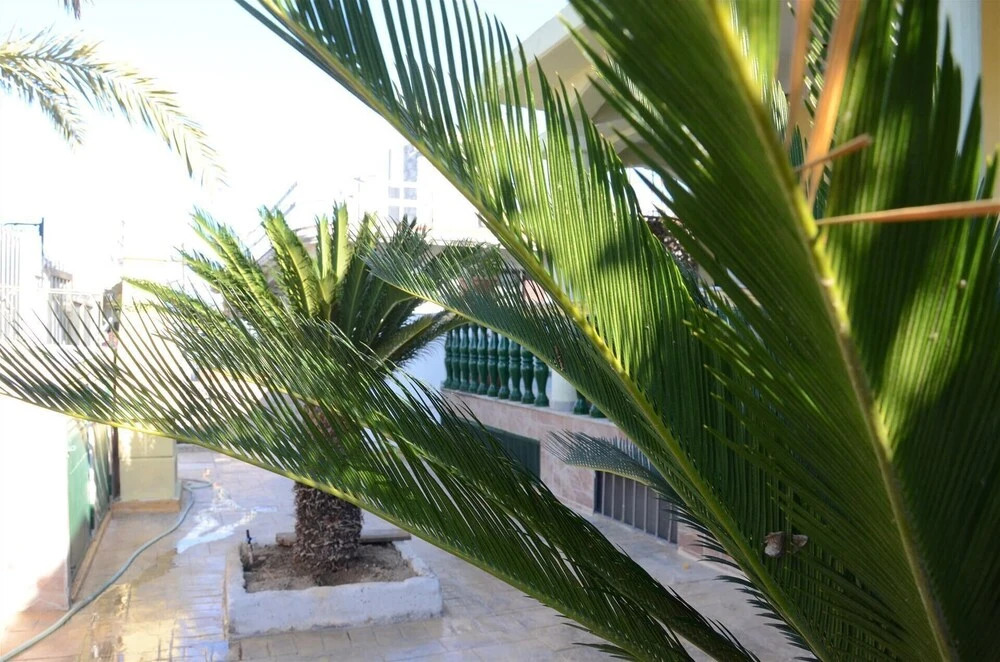 Appartamenti in Villa Indipendente a 200 Metri Dalla Spiaggia - Fsi-fra01