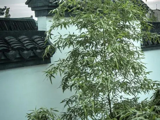 Xitang Zhuo garden Private Garden Inn