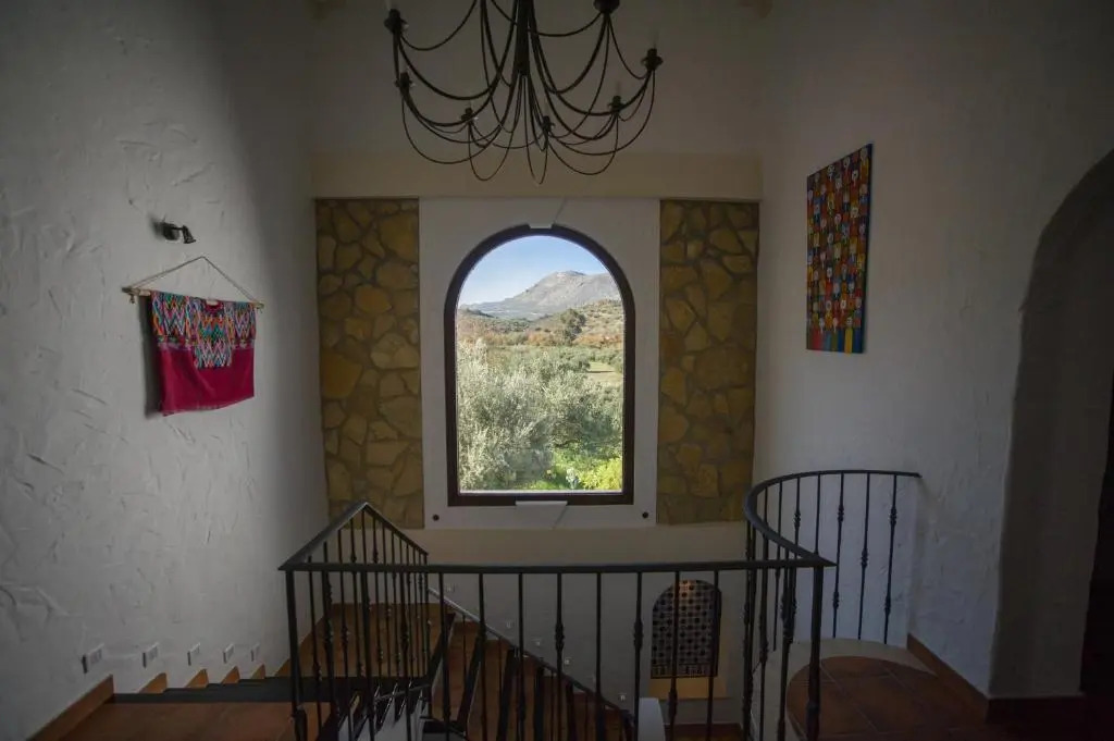 Casa Olea