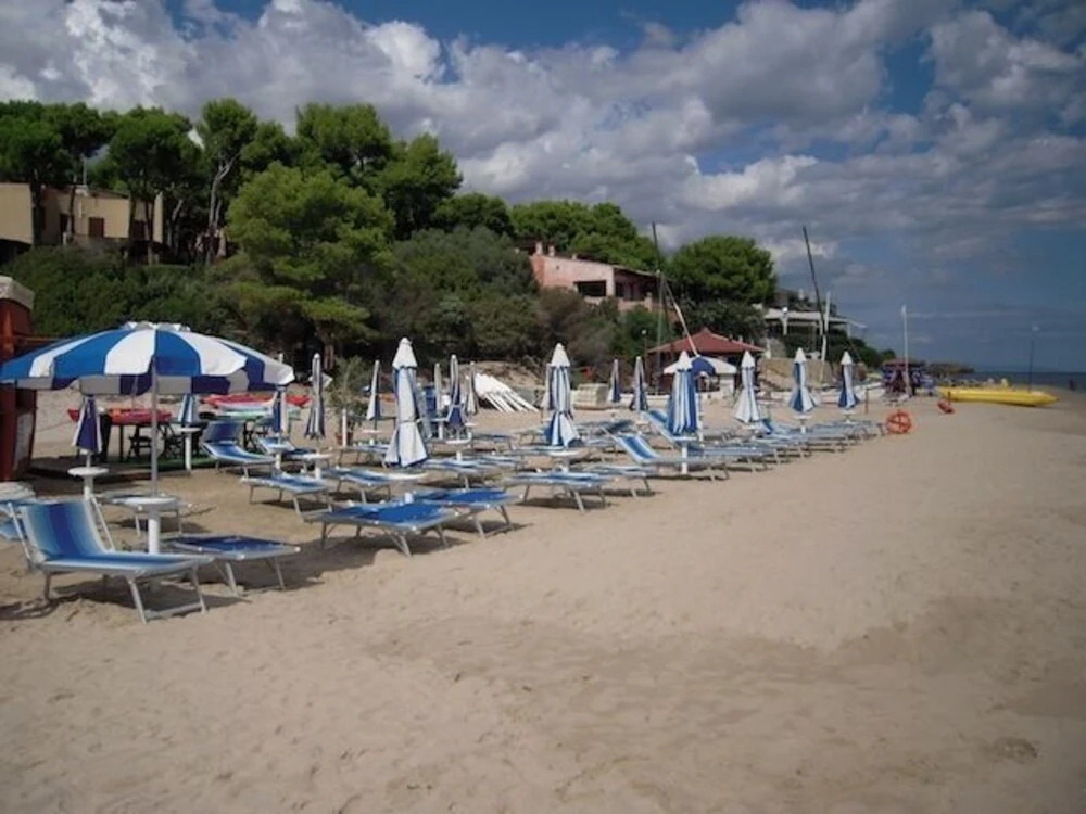 La Pineta