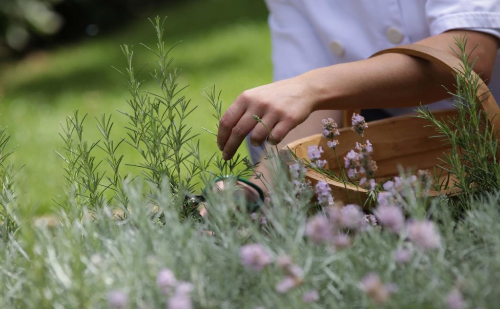 Reserve, by Warner Hotels - The Runnymede on Thames