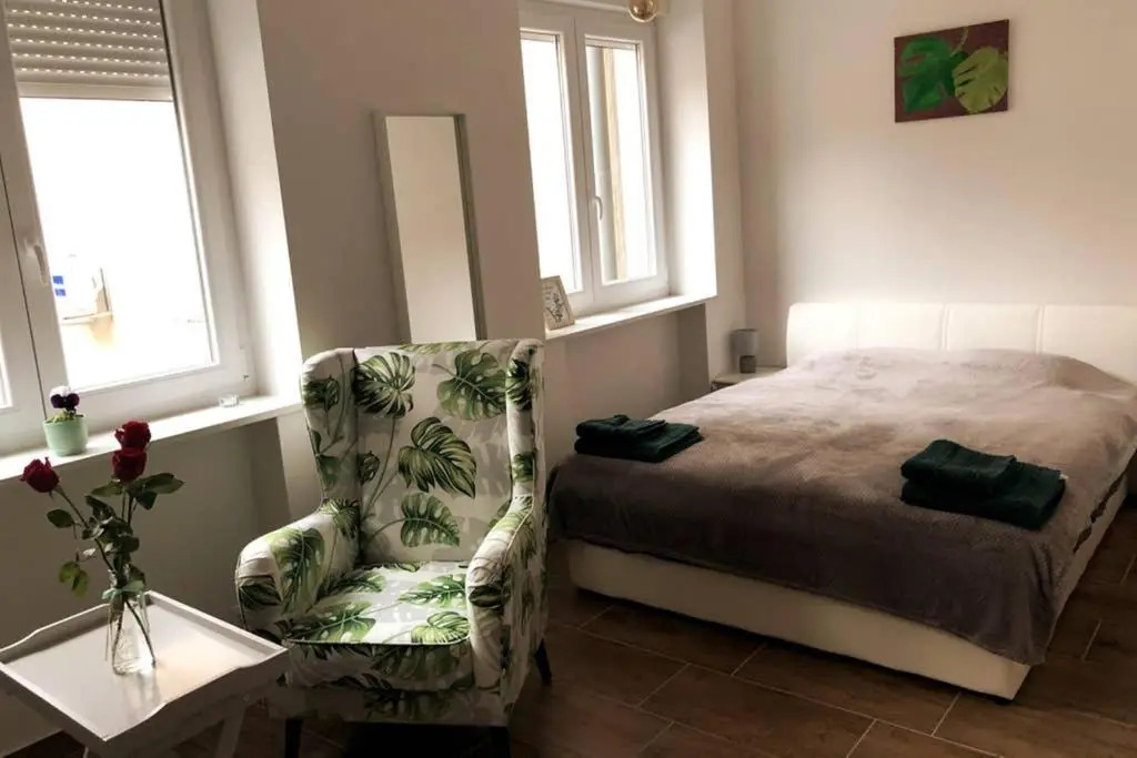 Studio apartment in center of Zagreb "Vidra"