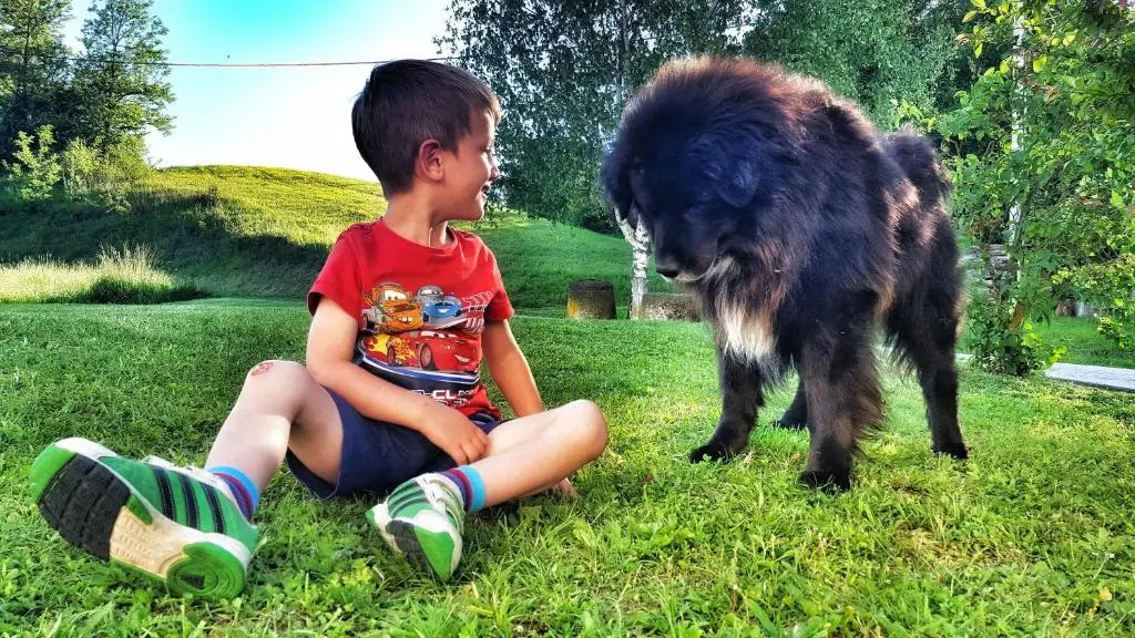 Masnec Tourist Farm