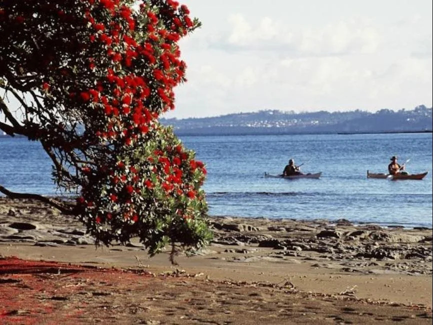 Mahurangi West Wing
