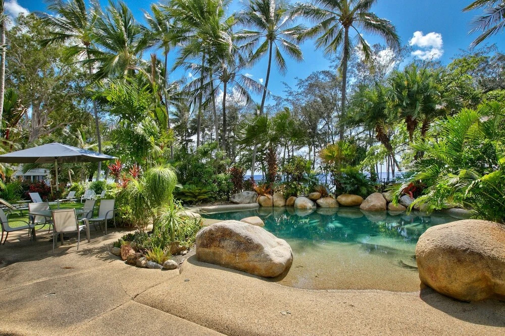 Turtle Dreaming in Palm Cove
