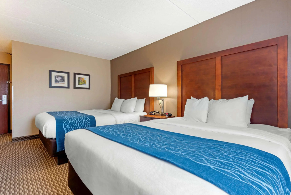 Comfort Inn University