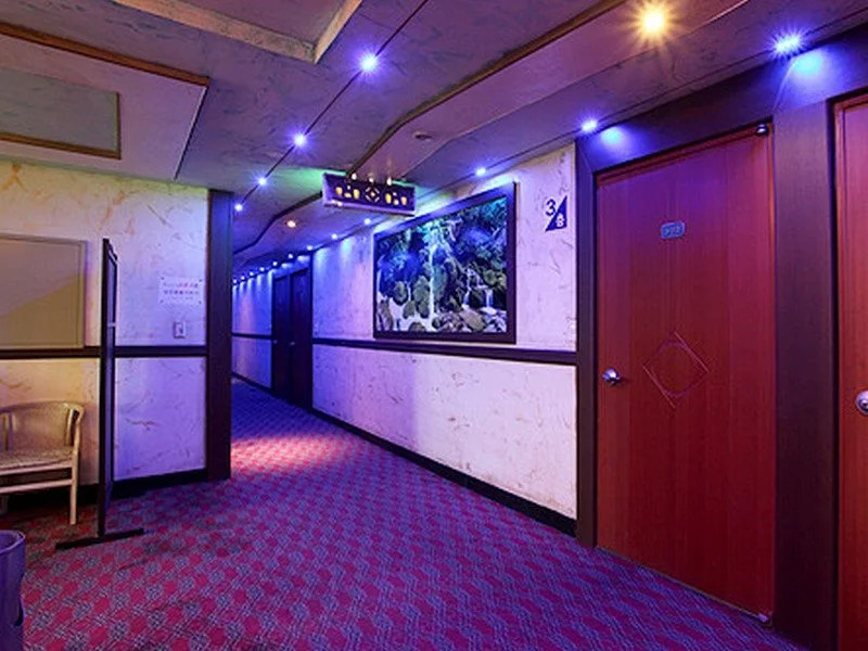 Nice Hotel Asan