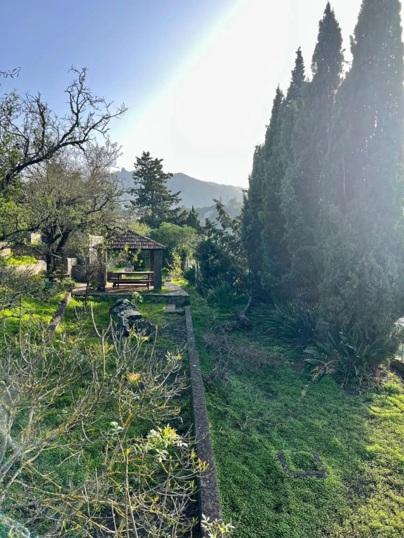 Casa La Veguetilla en San Mateo