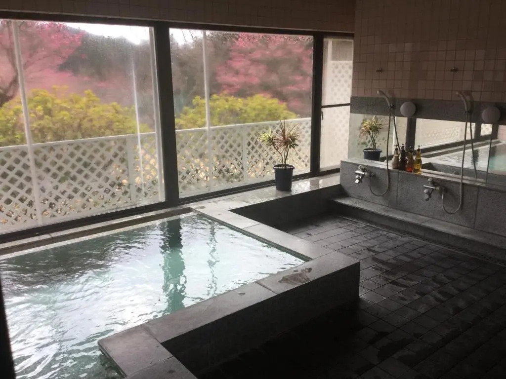 Hotel Tsuru