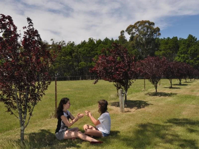 Poplars Inn Mittagong