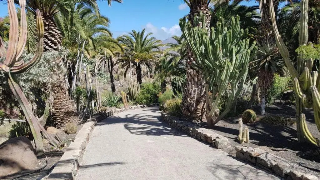 Villa de Cactualdea