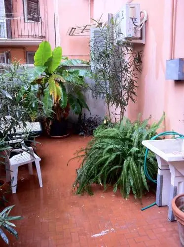 Ottimista B&B