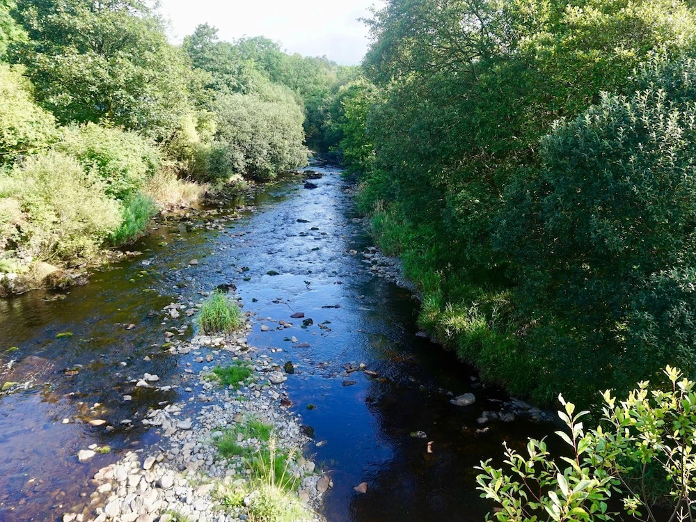 Bryn Conwy