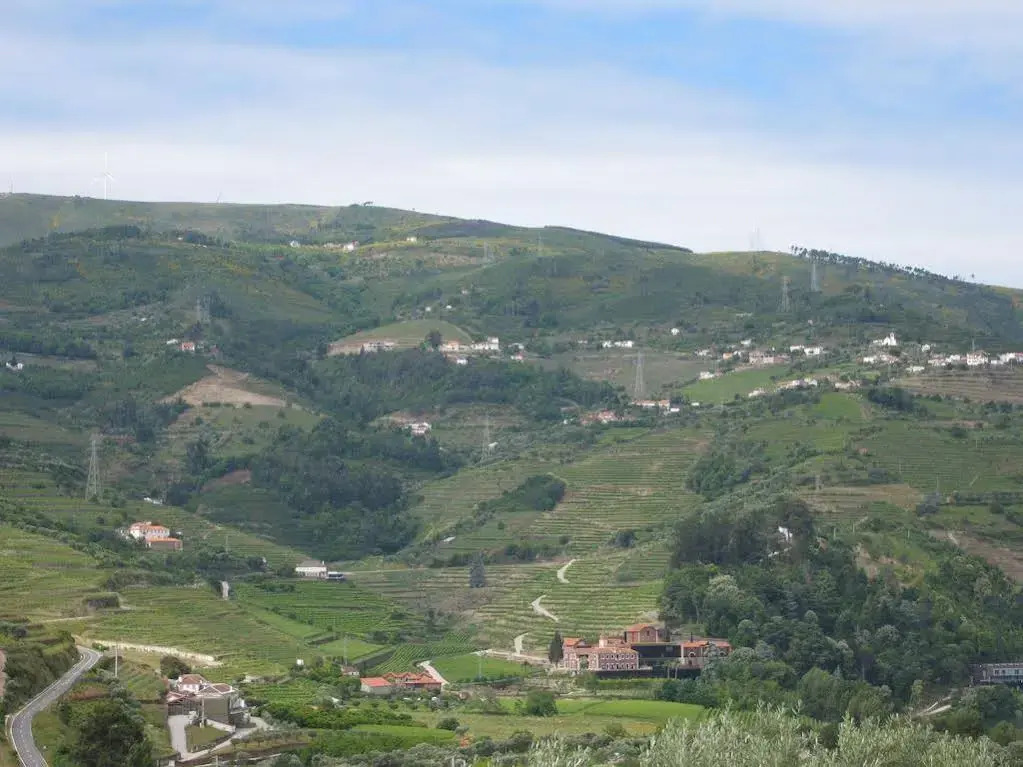 Quinta De Tourais