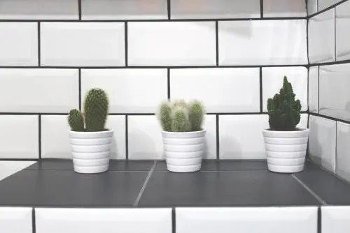 Eufonia Vinyl Friendly Apartment