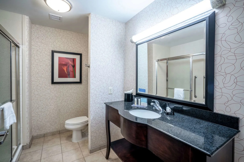 Hampton Inn Richmond - Airport