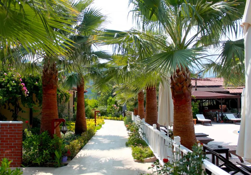Nerissa Hotel