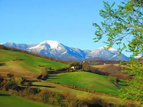 Casa dei Sogni d'Oro