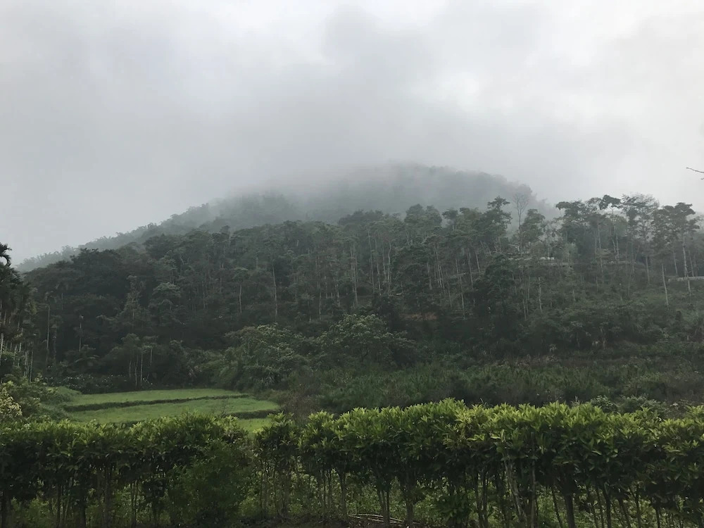 Mountain Gods B&B