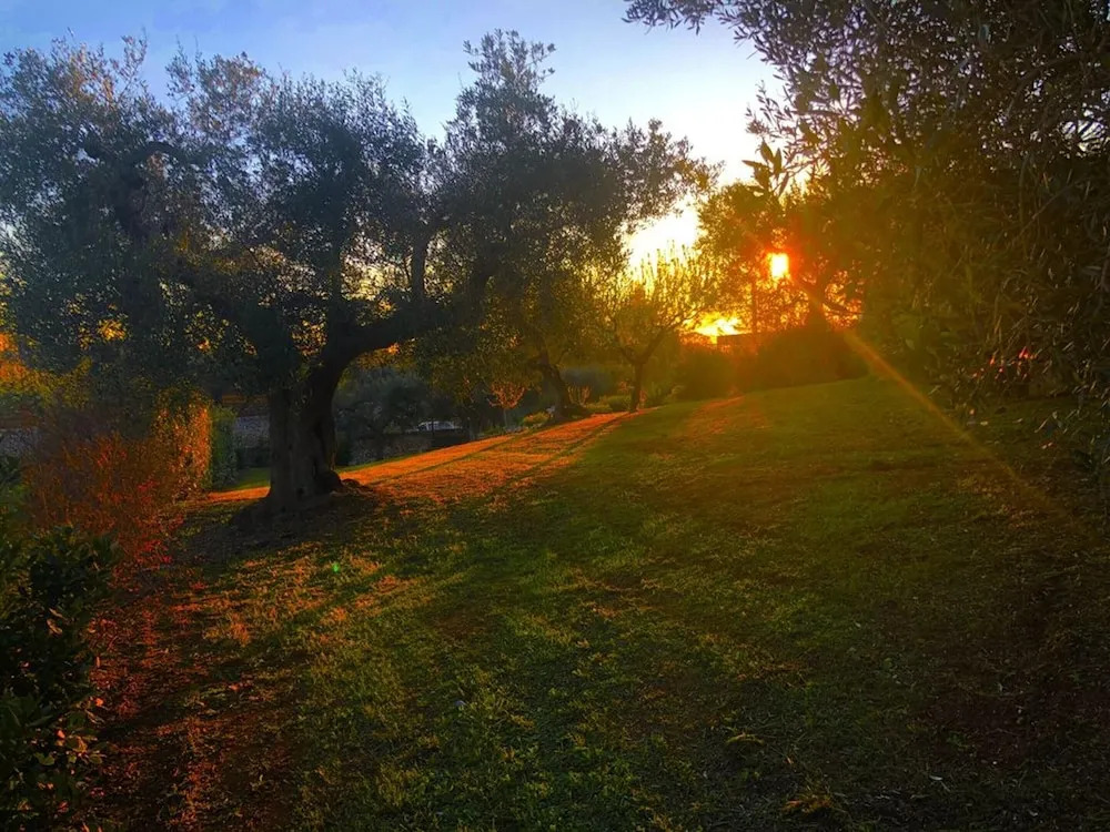 Spacious villa with pool in Bari 100 m² - Lush garden