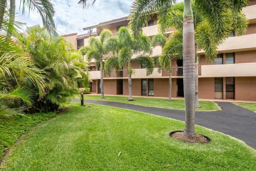 Maui Amazing 1 BR condos At Maui Vista-1123 condo