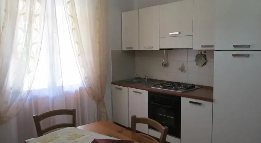 B&B Alvi