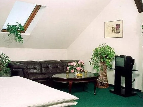 Hotel Cesky Dum
