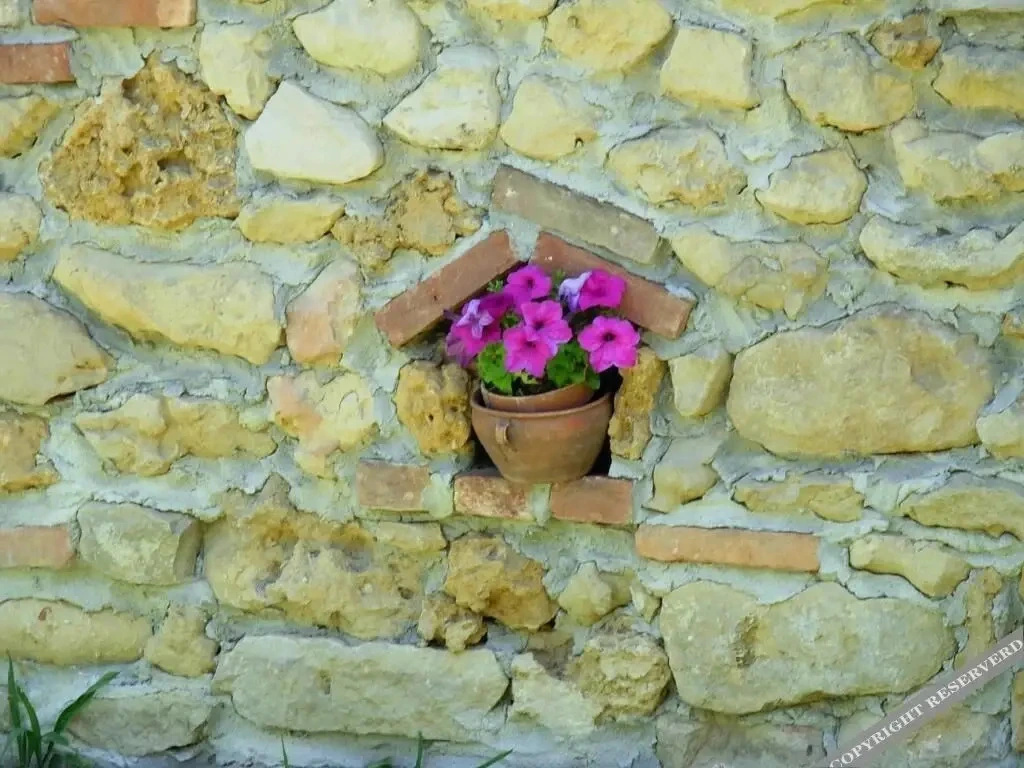 Bricco Dei Ciliegi